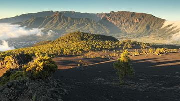 La Palma